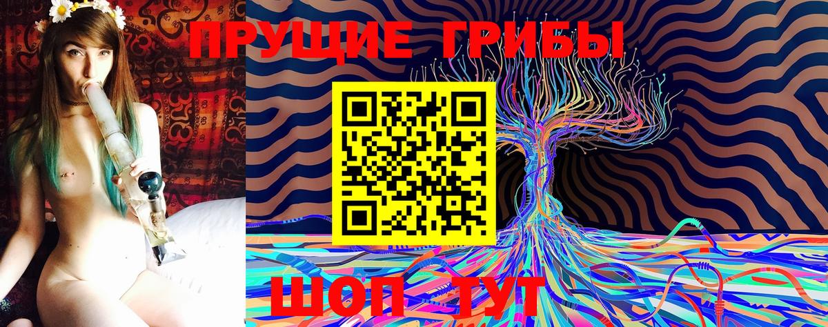 купить наркотики сайты  Псилоцибиновые грибы MAGIC MUSHROOMS  Вход с VPN  Кизляр  Галлюциногенные грибы Cubensis 